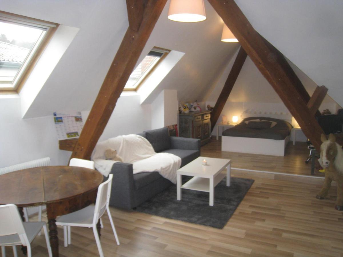 Chambres Privatives Chez L'Habitant Guebwiller Buitenkant foto