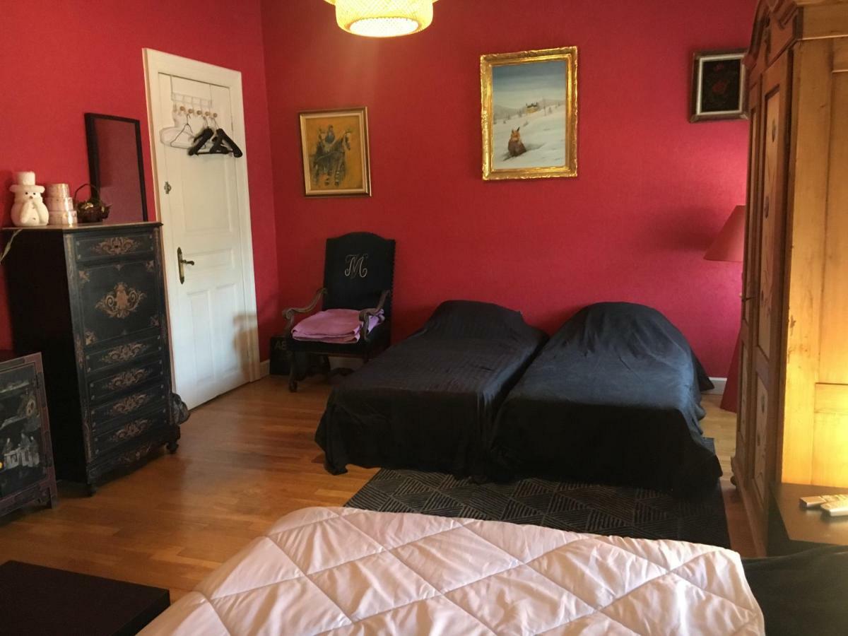 Chambres Privatives Chez L'Habitant Guebwiller Buitenkant foto
