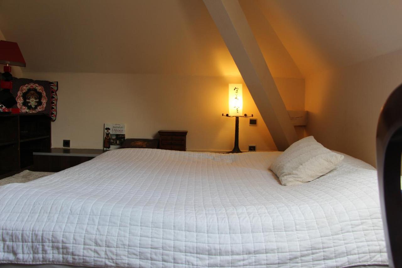Chambres Privatives Chez L'Habitant Guebwiller Buitenkant foto